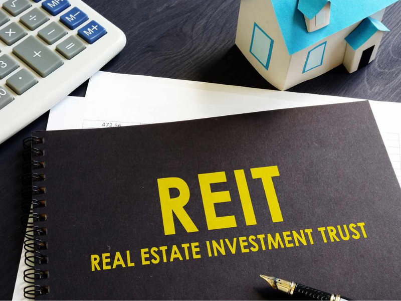 Real Estate Investment Trusts (REITs)